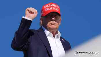 Trump banning import of Canadian booze, motorcycles, other goods into U.S.