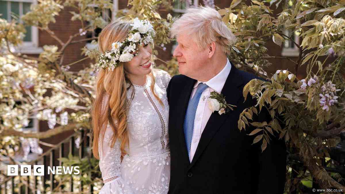 Man 'planned paint protest at Johnson wedding party'