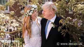 Man 'planned paint protest at Johnson wedding party'