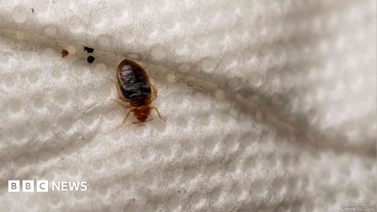 Family 'isolated' by 16-month bedbug infestation
