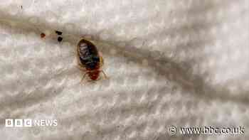 Family 'isolated' by 16-month bedbug infestation