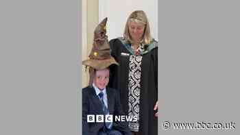 Harry Potter 'sorting hat' decides students' fate