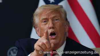 Trump gratuliert AfD - Bewegung „im Aufwind“