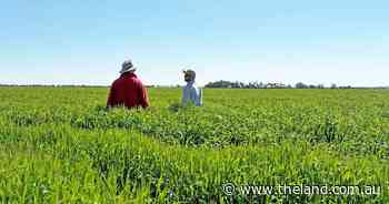 Investors asked to look again at two cropping ventures back on the market