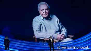David Attenborough, 100, says 'natural world needs us' in NTA acceptance speech