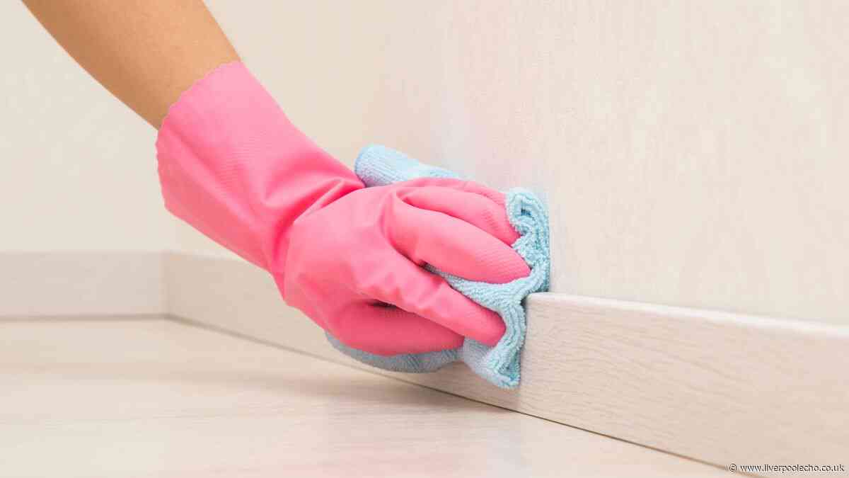 I keep my skirting boards clean and dust-free with cheap Home Bargains staple