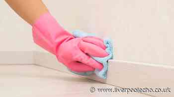 I keep my skirting boards clean and dust-free with cheap Home Bargains staple