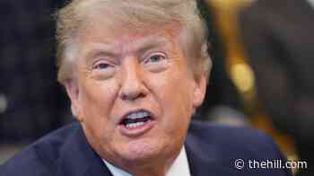 Trump banning Canada's dairy products, motorcycles and many alcoholic beverages