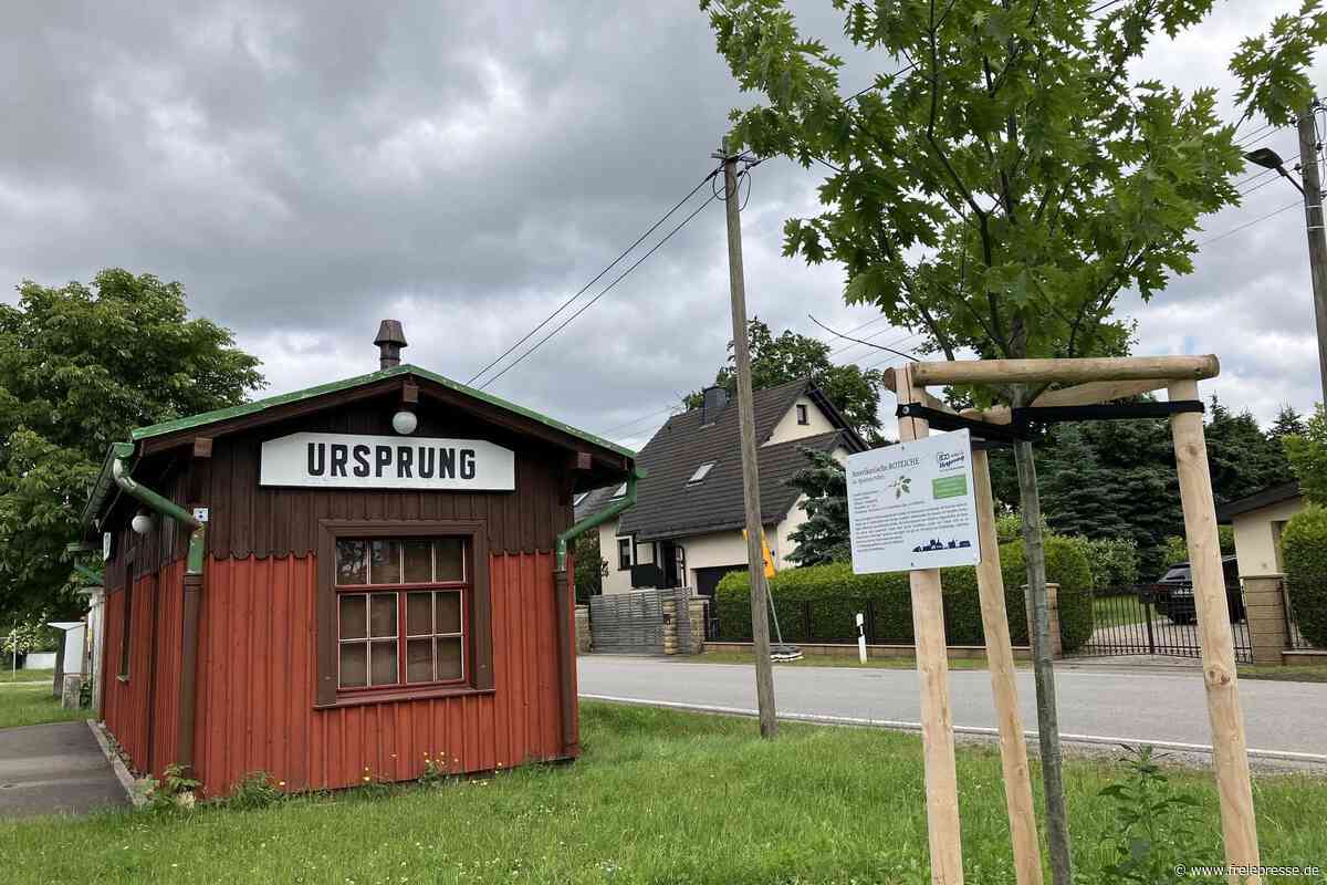 Das bietet der Tag des offenen Denkmals im Raum Stollberg: Villa, Kirchen, altes Bahnhofsgebäude