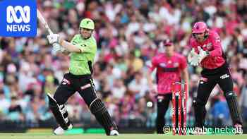 Major state fears cricket will be worse off with private investment