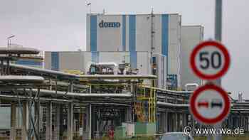 Insolventes Chemiewerk in Leuna steht vor dem Aus – Hunderte Jobs betroffen