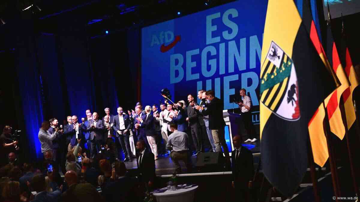 Ex-Stasi-Offizier, Neonazi-Vergangenheit und Vorstrafen: Wer für die AfD in den Landtag einzieht