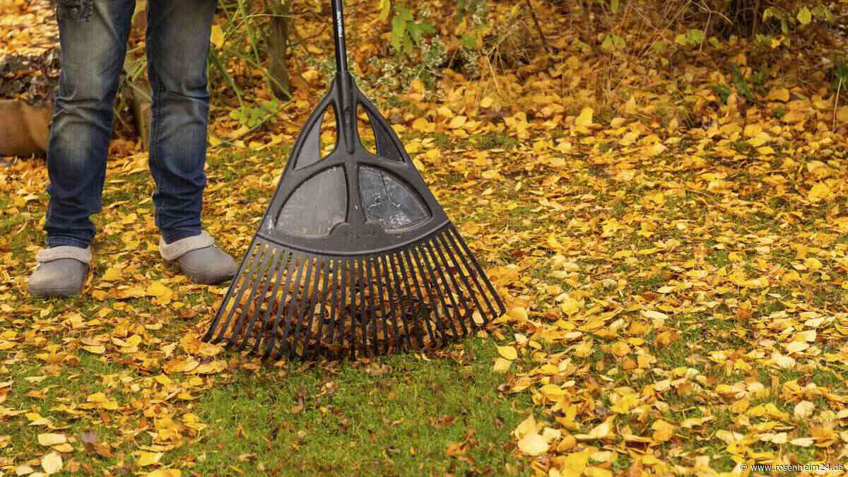 Wetter in Oberbayern wird herbstlich – doch die Sonne gibt noch nicht ganz auf
