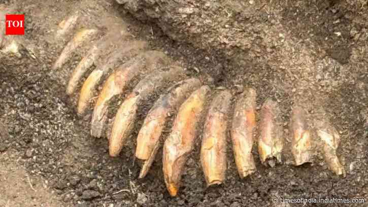 Roman cemetery dig reveals Stone Age man buried with 2 skulls, 42 teeth and an axe