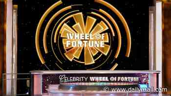 Organizers behind disturbing 'pedophilia' chatroom Wheel of Fortune's Jim Thornton allegedly visited speak out... as game show implements major change after his shock firing