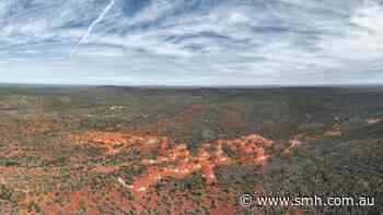 Golden Dragon breathes fire with high-grade WA gold hits