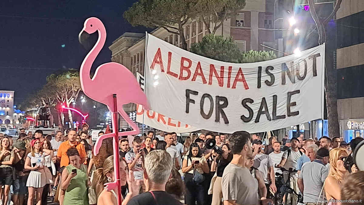 Cento giorni di rivoluzione dei fenicotteri: in Albania ho appreso tre lezioni dalle proteste