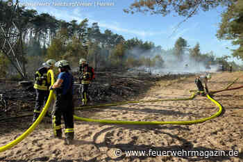 Waldbrand unter Hochspannungsleitung