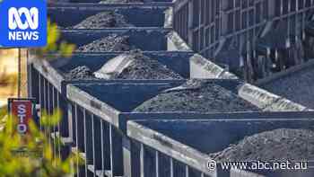 Black dust pollution sparks push to change Chinese-owned miner's licence