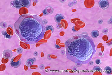 Magrolimab Plus Azacitidine Fails in Higher-Risk MDS as Toxicity Curtails Treatment and Transplant