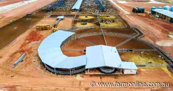 Two more NT cattle stations up for sale while a third has sold for $26 million