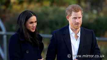 Prince Harry and Meghan Markle 'want to be called public figures and not private citizens'