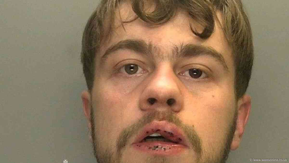 Man with claw hammer left Cardiff taxi driver panicked after terrifying journey
