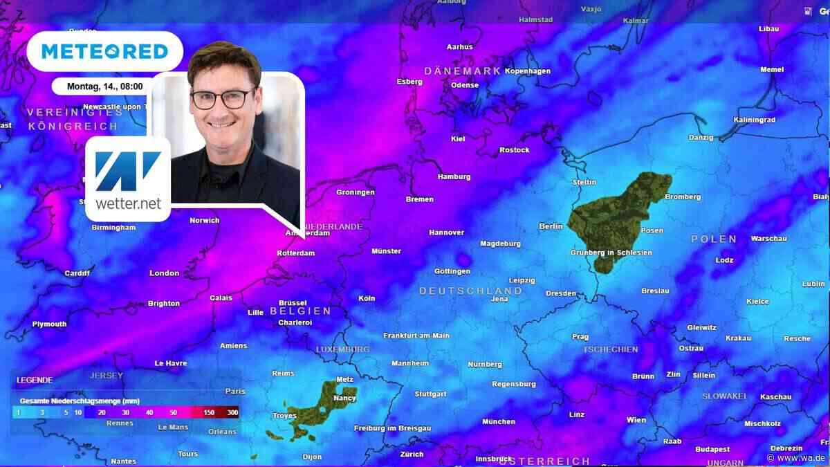 Rekord-Niedrigwasser am Rhein – mit nur wenigen Zentimetern in den Herbst