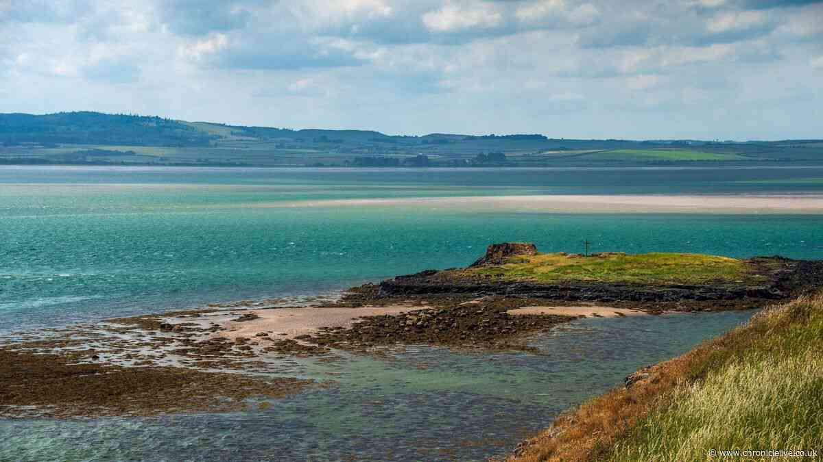 Tiny Northumberland island with castle ruins and very special wildlife visitor