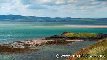 Tiny Northumberland island with castle ruins and very special wildlife visitor