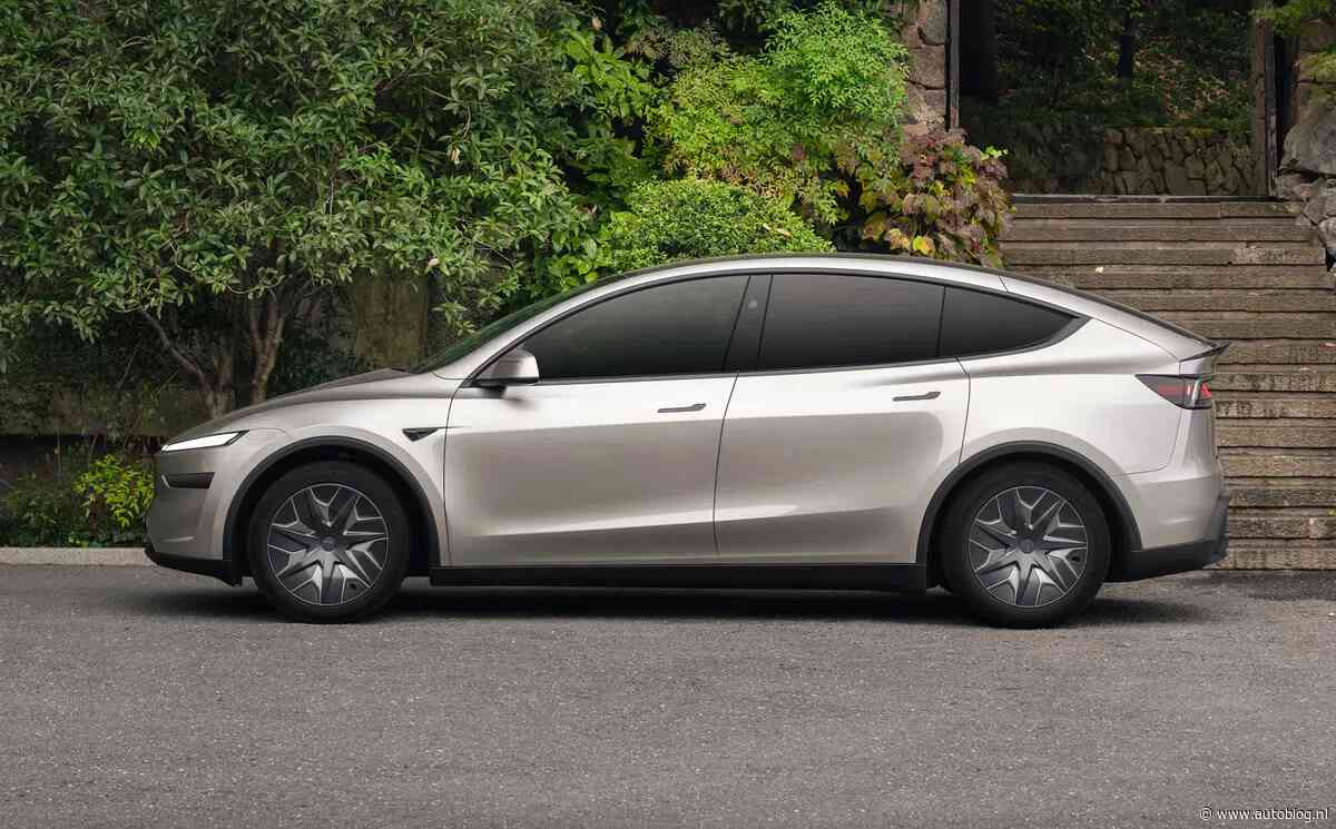 Dit is de Tesla Model Y die je moet hebben