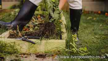 Expert shares 4 essential garden tasks this September to prepare for winter
