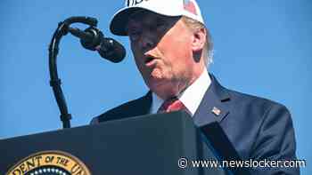 Donald Trump juicht AfD-zege in Saksen-Anhalt toe: ’Make Germany great again’