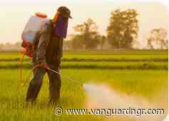 Nigeria ranks 2nd in acute pesticide poisoning in West Africa — Study