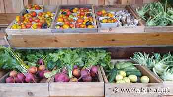 Navigating food system dilemmas: collective action key to success