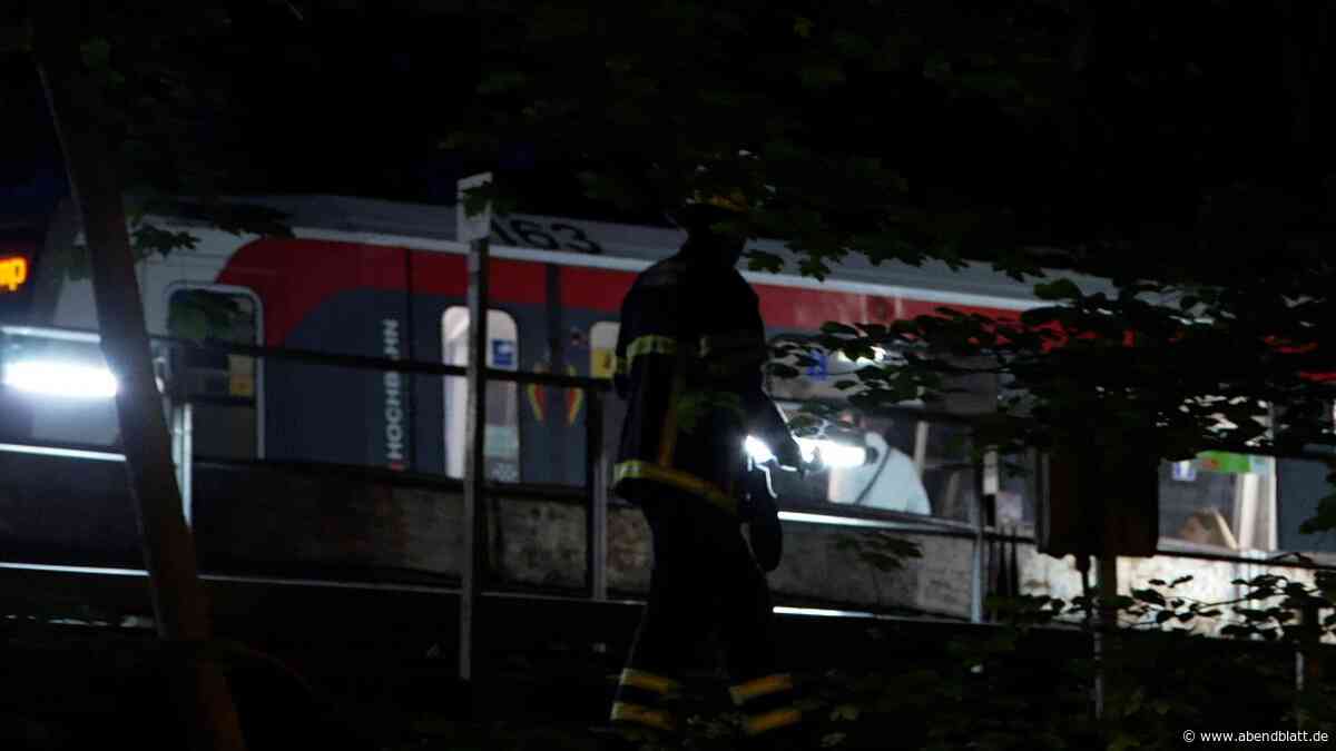 U1-Verkehr in Hamburg-Volksdorf lahmgelegt – Ast blockiert Gleis