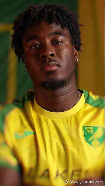 🥁Your August Player Of The Month... 🆎     #football #efl #norwichcity