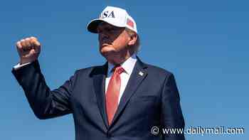 Trump praises hard-right AfD party's election victory: 'Germany finally got tired of the immigration rules which hurt them so badly'