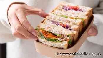 Make tuna sandwiches tastier by replacing mayo with creamier alternative