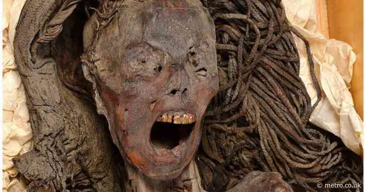 Gruesome mystery of Egypt’s ‘screaming mummy’ finally revealed