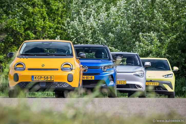 Renault: 'Chinezen brengen auto's te snel op de markt'