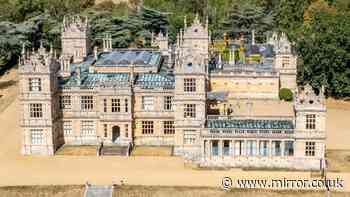 Owner of Grade-I listed Batman 'Wayne Manor' hits back at council in huge row over... bats
