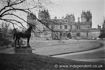 Batman’s Wayne Manor hits back at council over bat survey row
