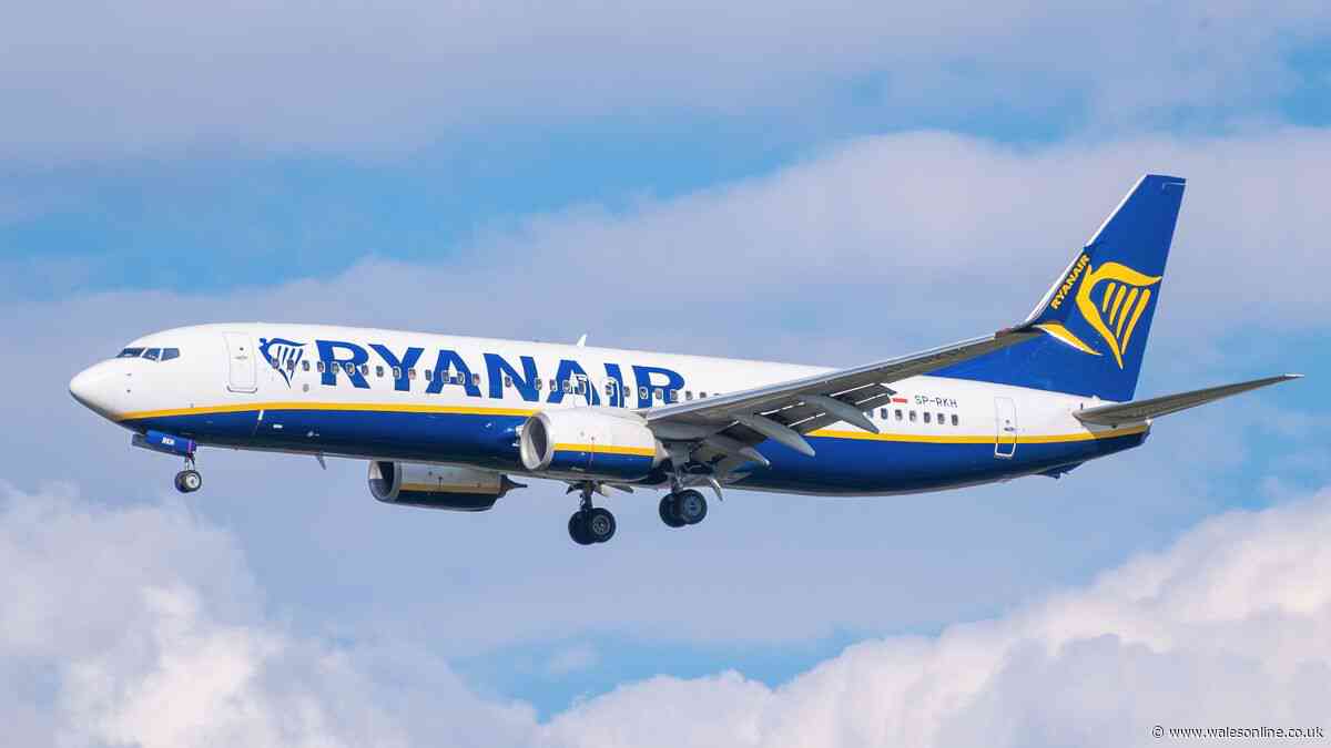 Ryanair and Wizz Air Wednesday statements on 'shambles' as flights cancelled
