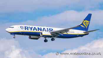 Ryanair and Wizz Air Wednesday statements on 'shambles' as flights cancelled