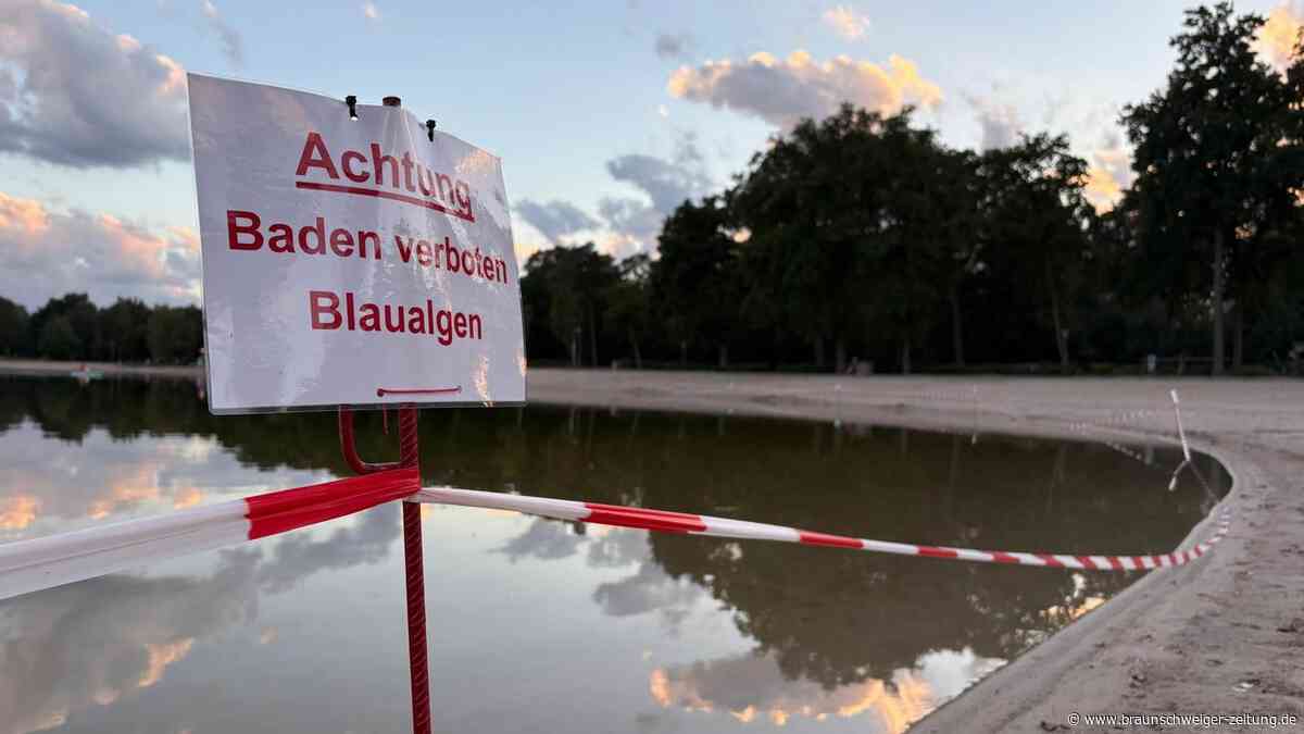 Blaualgen im Tankumsee festgestellt – Baden ist jetzt verboten!