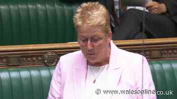 Wales Freeview 'switch off' date update as Minister responds to 'worst hit' concern