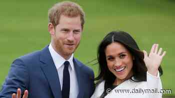 Harry and Meghan would prefer to be 'public figures' NOT private citizens, sources reveal amid string of extraordinary claims
