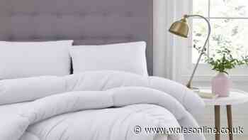Silentnight 'cosy' transitional duvet for autumn drops below £5 in deal stack