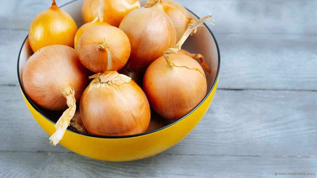 Stop storing onions in the fridge as 1 better location keeps them fresh for '6 months'